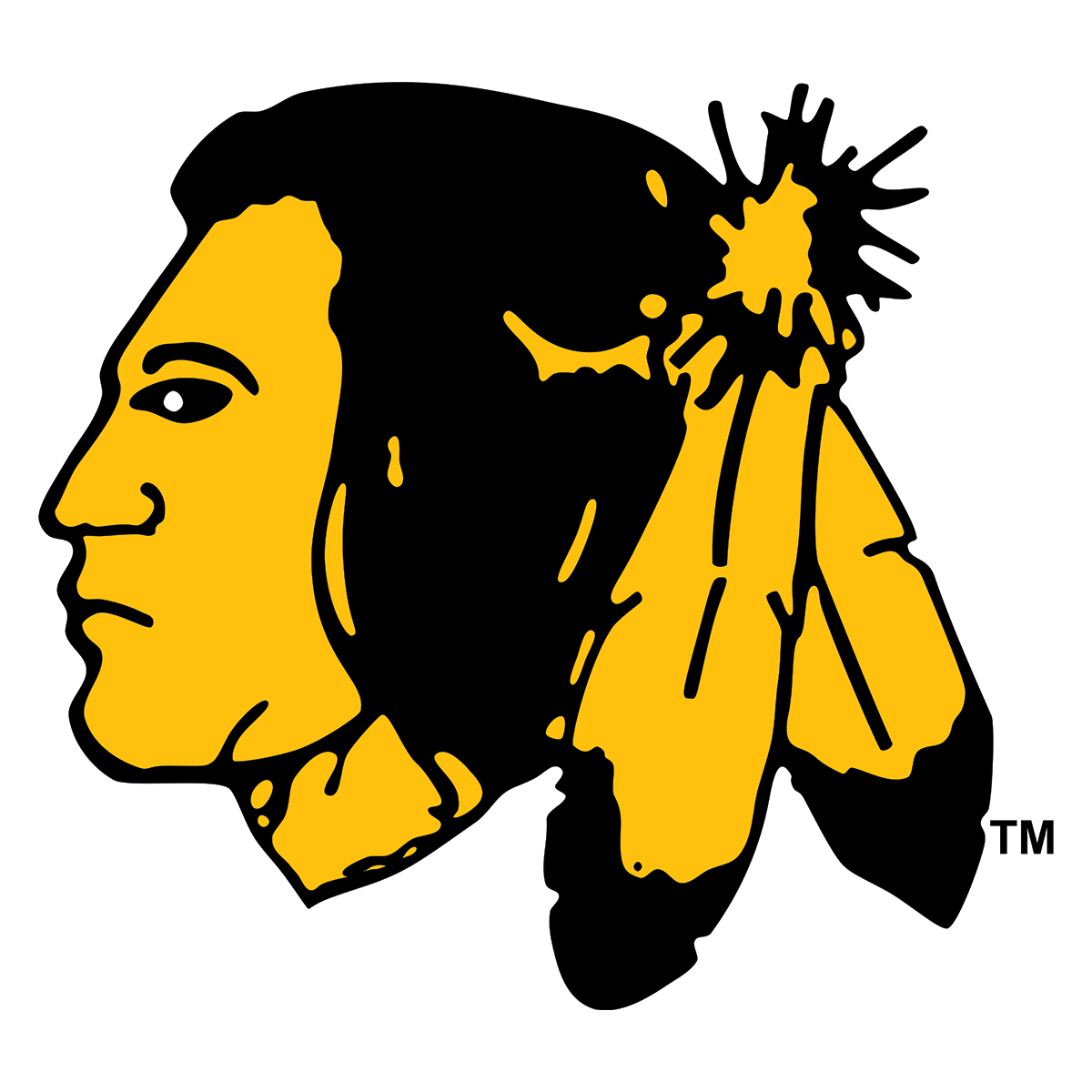NHL Mock Draft Warroad High School (MN) Logo